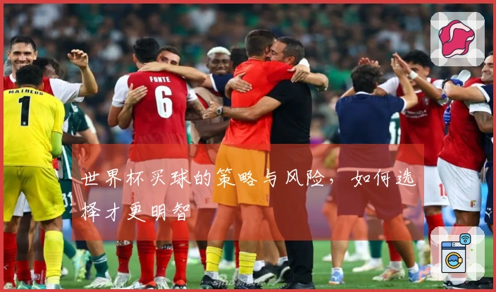 世界杯买球的策略与风险，如何选择才更明智