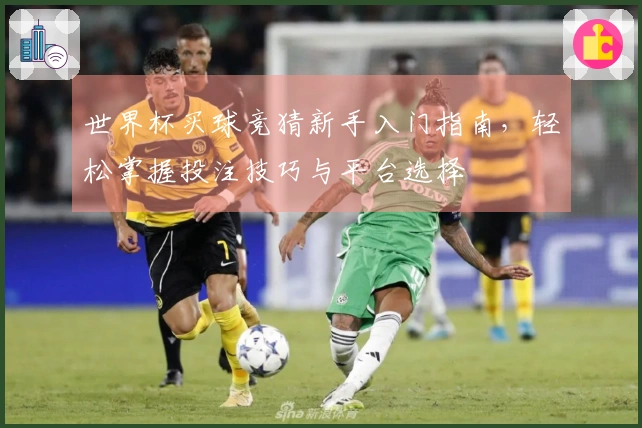 世界杯买球竞猜新手入门指南，轻松掌握投注技巧与平台选择