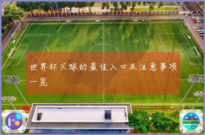 世界杯买球的最佳入口及注意事项一览