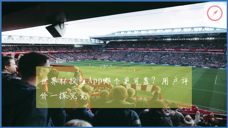 世界杯投注App哪个更可靠？用户评价一探究竟