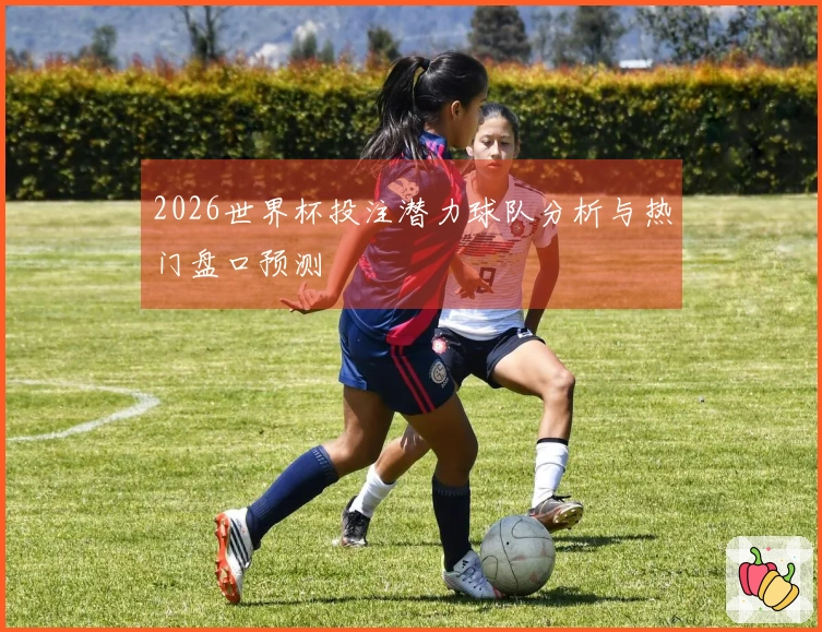 2026世界杯投注潜力球队分析与热门盘口预测