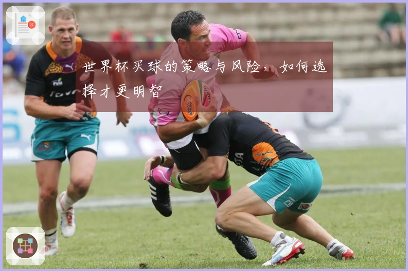 世界杯买球的策略与风险，如何选择才更明智