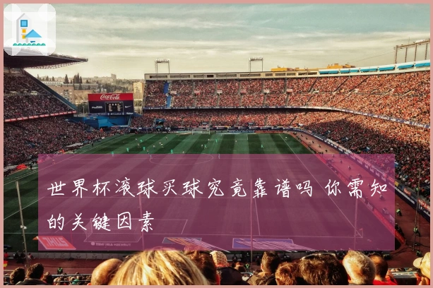 世界杯滚球买球究竟靠谱吗 你需知的关键因素