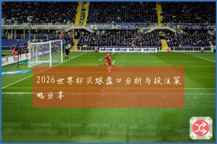 2026世界杯买球盘口分析与投注策略分享